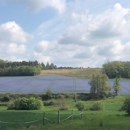 Gîte au calme entièrement rénové Coussay-les-Bois Extérieur photo