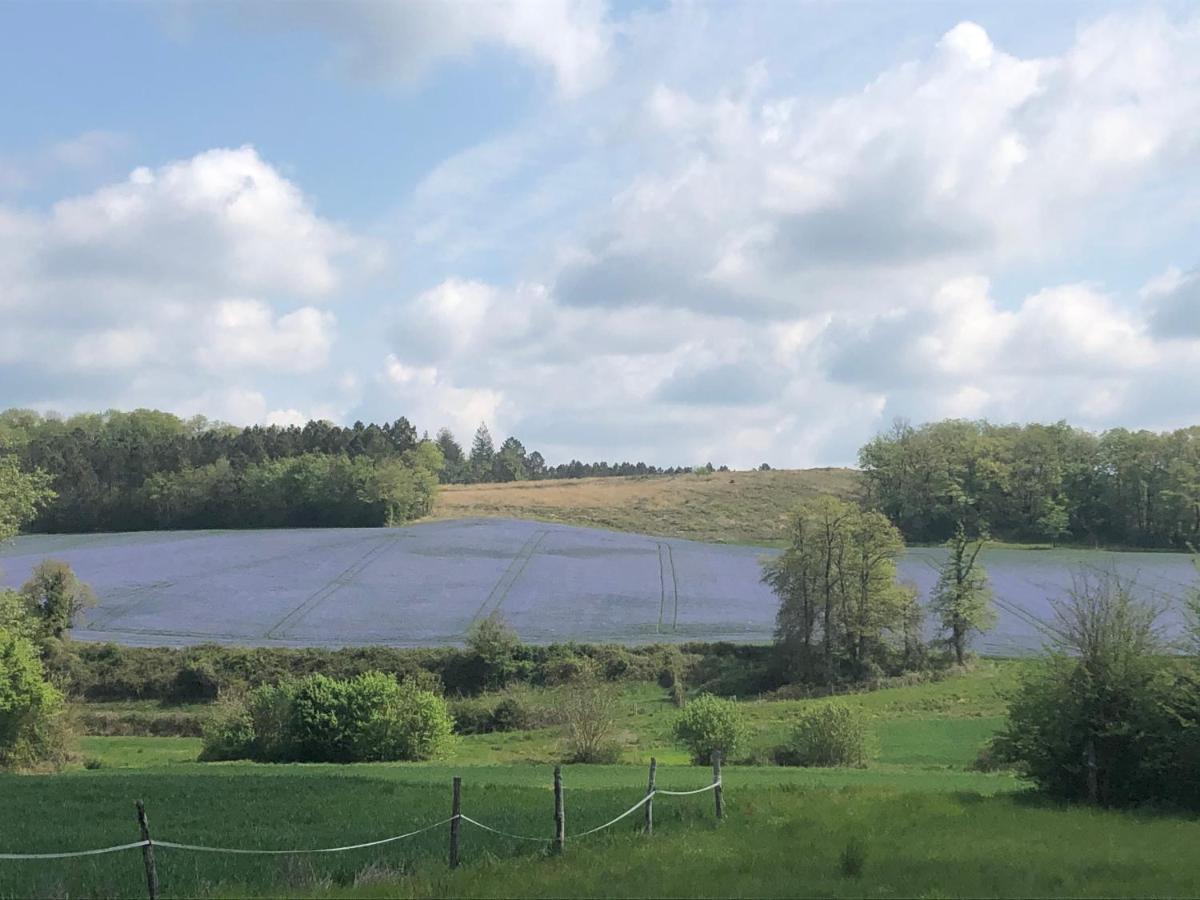 Gîte au calme entièrement rénové Coussay-les-Bois Extérieur photo